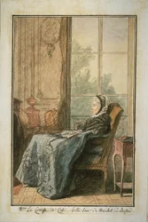 The Comtesse de Cossé in a Salon