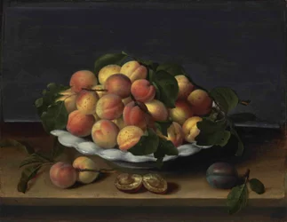 Abricots dans un bol en céramique, avec des prunes sur un rebord en pierre