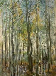 Une forêt. Inondation sur le lac de Starnberg