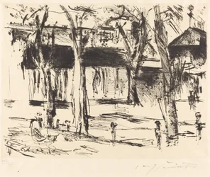 Cour avec des arbres