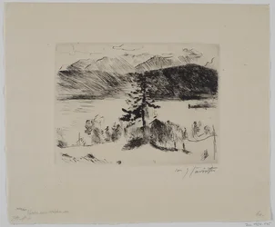 Mélèze au lac Walchen