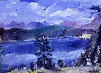 Le lac de Walchen avec un mélèze