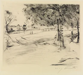 Paysage