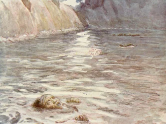 Illustration pour la vie de HM Stanley (lithographie couleur)