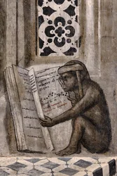 Le singe avec des lunettes lisant un livre