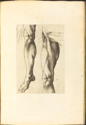 Impression du livre de dessin