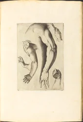 Impression du livre de dessin