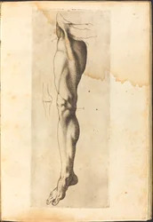 Impression du livre de dessin