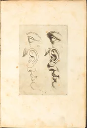 Impression du livre de dessin