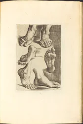 Impression du livre de dessin
