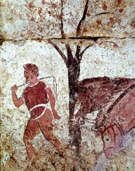 Un paysan tirant deux chevaux, fresque lucanienne du IVe siècle av. J.-C., de la nécropole de Paestum, Italie. Museo nazionale archeologico, Paestum