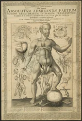 Deuxième vision, de Miroirs du microcosme