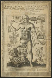 Troisième vision, des Miroirs du microcosme