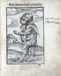 Moine veau de Freiberg (Das Mönchskalb zu Freiberg), par Cranach, Lucas, l
