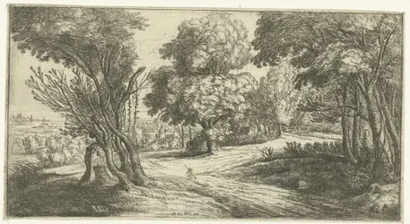 Paysage forestier