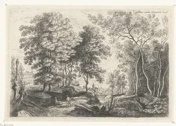 Paysage avec un ruisseau à travers une forêt