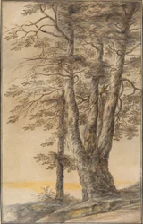 Étude d