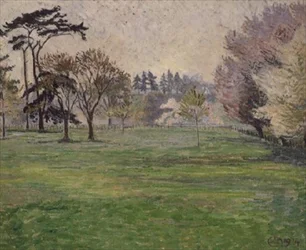 Fleur, soleil et brume : Chipperfield