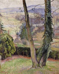Givre et brouillard, Summerleaze, East Knoyle