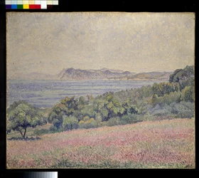Chardons, Le Brusq