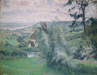 Saules, étang à poissons, Dorset