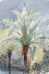 Palmiers de la vieille ville I, Jérusalem