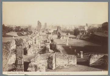 Ruines des palais impériaux sur le Palatin à Rome