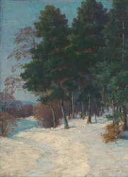 Forêt en hiver