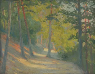 Chemin vers la rivière