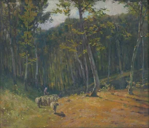 Moutons dans la forêt