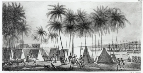 Port de Hanarourou dans les îles Sandwich, de 