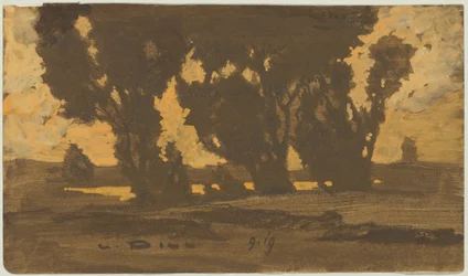 Saules dans le marais de Dachau