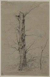 Arbre