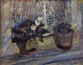 Nature morte avec pots de fleurs à la fenêtre