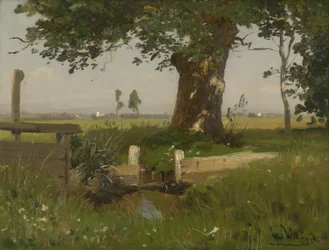 Paysage de prairies estivales en Carinthie