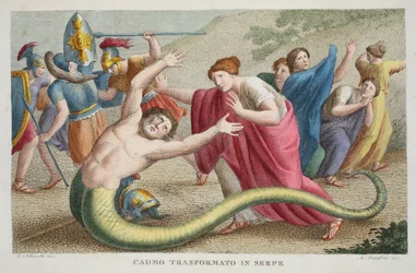 Cadmus transformé en serpent ou Cadmo Transformato in Serpe, livre IV, illustration des Métamorphoses d