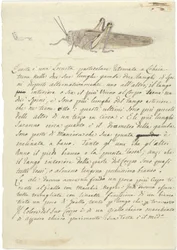Étude d