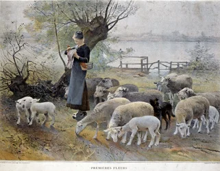 Premières fleurs : Une bergère entourée de ses moutons pique des fleurs dans son chapeau