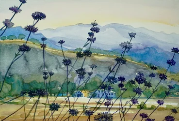 Vue sur la montagne de la lavande