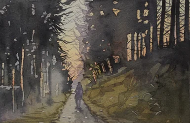 Promenade au crépuscule dans la forêt
