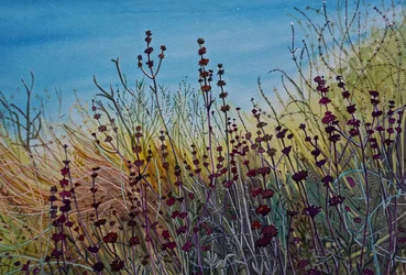 Une prairie sauvage pleine de vie