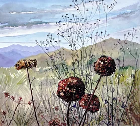 Fleurs sauvages et montagnes