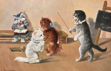 Carte postale humoristique de chat