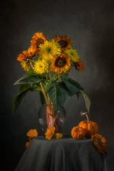 Tournesols d