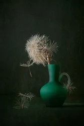 Graines de pissenlit et vase vert