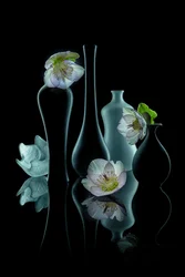 Éclat floral élégant