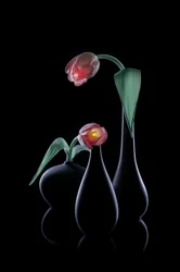Élégantes tulipes lumineuses