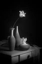 Élégante nature morte aux tulipes