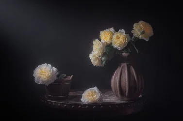 Élégantes roses jaunes