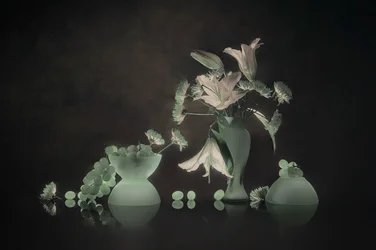 Lys lumineux et raisins